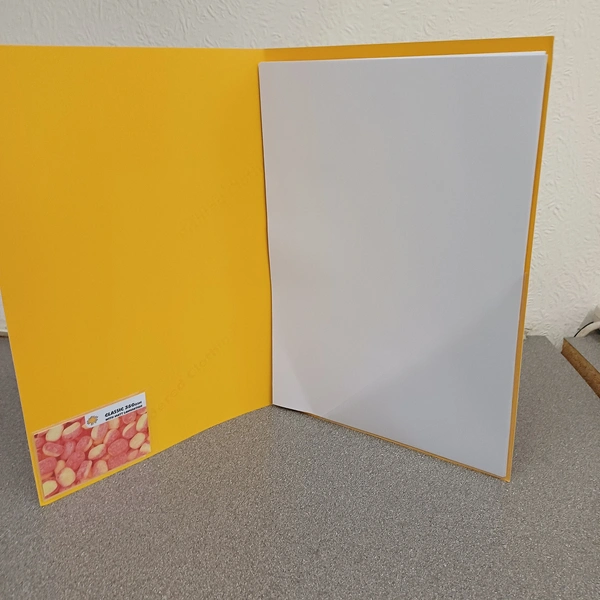 Presentation Folder - Open with Documents and Business Card